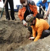 МОНГОЛ УЛСЫН ЕРӨНХИЙЛӨГЧИЙН САНААЧИЛСАН УУР АМЬСГАЛЫН ӨӨРЧЛӨЛТ, ЦӨЛЖИЛТИЙН ЭСРЭГ “ТЭРБУМ МОД” ҮНДЭСНИЙ ХӨДӨЛГӨӨНД НЭГДЭЖ БАЙНА